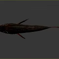 Red and Dark Red Striped Fish with Spiny Fins and Red Tail on Gray Background