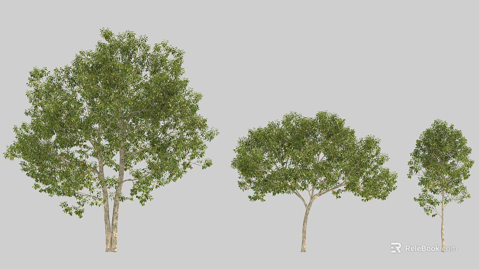 Arbor Trees With Green Foliage And Different Heights On Neutral Background 3d model
