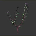Plant Featuring Two Main Pink Stems Green Leaves Purple Flowers On Gray Background With Reflection