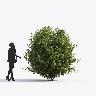 modern shrub wood rhinoceros 3d model modern shrub wood rhinoceros 3d model