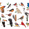 Modern 2D Birds Magpie Dove Sparrow Swift Silhouette 3d model