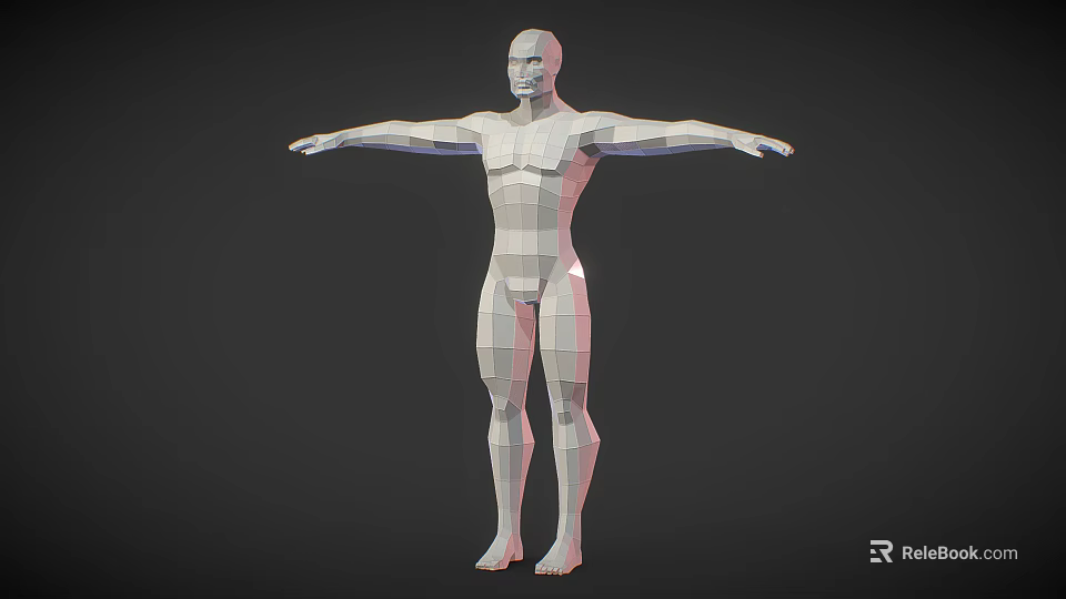 Low Poly 3D Human Figure Model Showcasing Biological Structure With Arms Outstretched And Anatomical Features 3d model