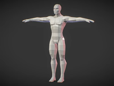 Low Poly 3D Human Figure Model Showcasing Biological Structure With Arms Outstretched And Anatomical Features 3d model
