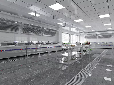 Commercial Kitchen With Stainless Steel Workstations Spacious Layout And Ventilation System 3d model