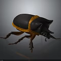 3D Rendered Beetle Model Featuring Dark Body Orange Band Horned Head And Brown Legs