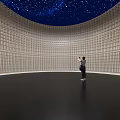 Beautiful Cultural Center With Circular Space Starry Sky Ceiling Wooden Lattice Walls And Person Standing