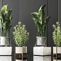 Modern Indoor Potted Plants with Marble Metal Base Planters Large Leafy and Small Green Foliage