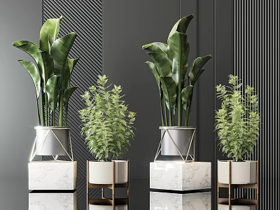 Modern Indoor Potted Plants with Marble Metal Base Planters Large Leafy and Small Green Foliage 3d model