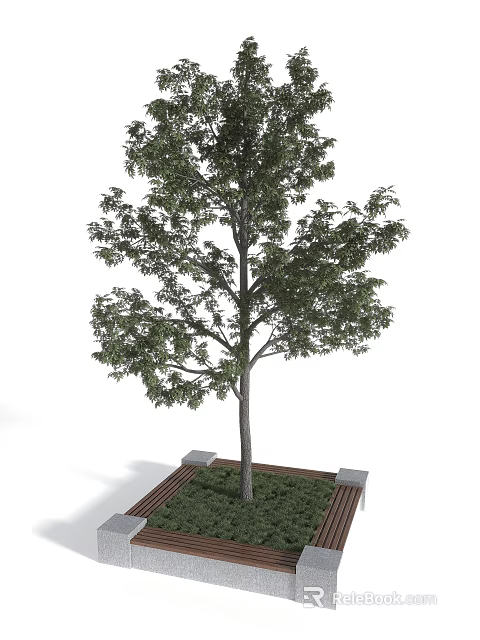 Modern Tree Planter Design with Lush Tree and Green Foliage 3d model