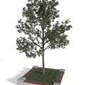 Modern Tree Planter Design with Lush Tree and Green Foliage 3d model