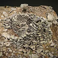 Scenic Rugged Landscape Showcasing Ancient Stone Structure in Natural Rocky Setting