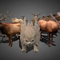 Various Horned Wild Animals Collection Including Deer Antelope Bull On Gray Background