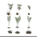 Assorted Garden Fern And Herb Plants Showcasing Diverse Leaf Shapes And Colors