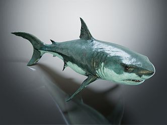 Modern Shark Eaters Human Shark 3d model