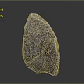 Unique Artistic Stone Sculpture With Intricate Carved Patterns And Textured Detail