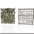 Climbing Plants Covering Decorative Lattice Trellis With Green Leaves And Flowers