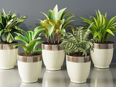 Various Green Leaf Potted Plants In White Pots With Brown Trim Decorative Arrangement 3d model