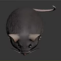 Gray Mouse Standing Upright with Large Pink Ears and Pink Paws on Black Background