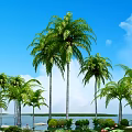 Tall Palm Trees Standing By Water Surface Under Blue Sky With White Clouds 3d model