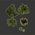 Various Green And Brown Trees With Small Plants On Gray Background With Ground Reflection