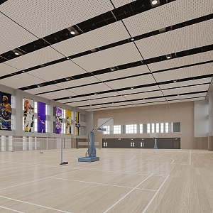 Basketball Court Gymnasium 3d model