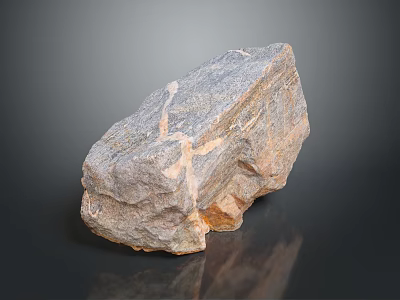 Natural Wooden Stone with Textured Gray Brown Surface and Solid Raw Structure 3d model