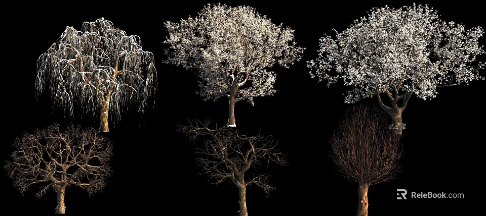 Various Arbor Tree Species with Diverse Shapes Blooming and Deciduous Features 3d model 