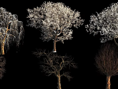Various Arbor Tree Species with Diverse Shapes Blooming and Deciduous Features 3d model