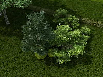 Healthy Lush Trees Thriving On Green Lawn In Landscaped Outdoor Garden Area 3d model