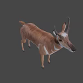 Realistic 3D Antelope Model With Brown Fur And Standing Pose 3d model
