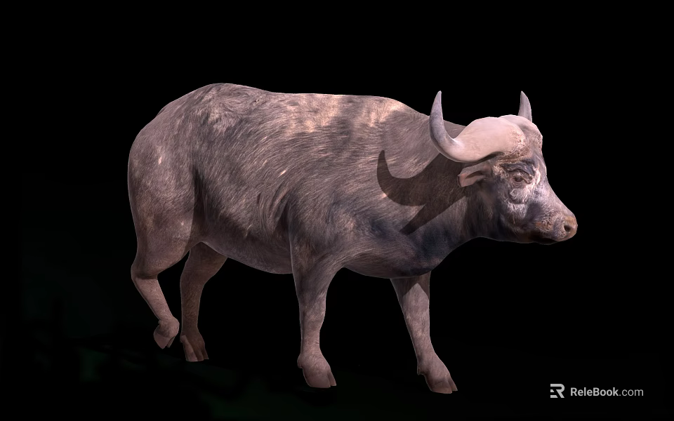 Gray Water Buffalo With Large Curved Horns Thick Fur Standing Full Body View 3d model 