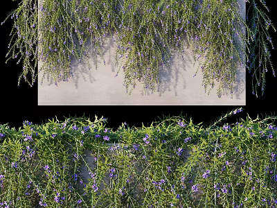 Lush Living Plant Wall With Hanging Greenery And Purple Flower Decorations 3d model