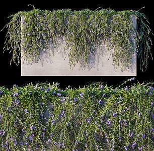 modern plant wall green plant wall 3d model