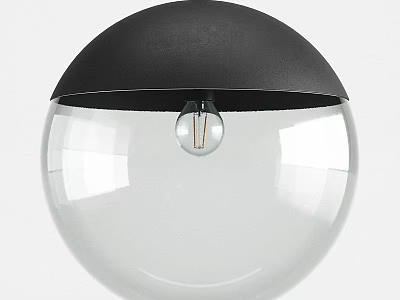Sleek Modern Pendant Light With Black Shade Transparent Glass Globe And Bulb 3d model