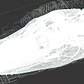 Reptile Microscopic View Showing Intricate Red Vascular Network Structure