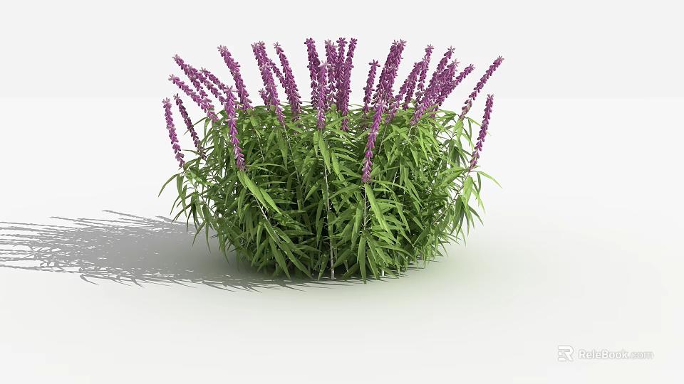 Lush Green Leaves And Purple Flowers Growing In Cluster On White Background 3d model 