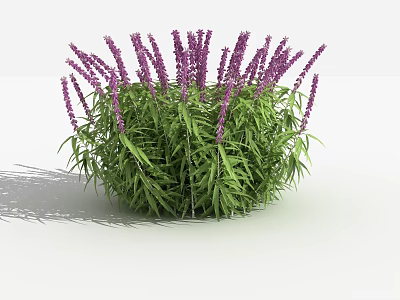 Lush Green Leaves And Purple Flowers Growing In Cluster On White Background 3d model