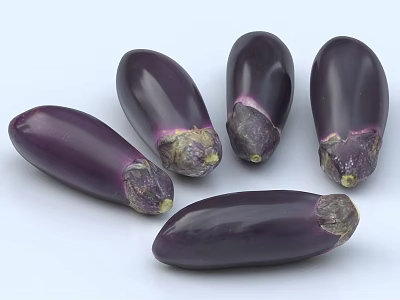 Fresh Ripe Purple Eggplants With Smooth Shiny Skin Arranged On White Background 3d model
