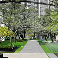 Residential Landscape With High Rise Buildings Lush Greenery And Modern Entrance Structure