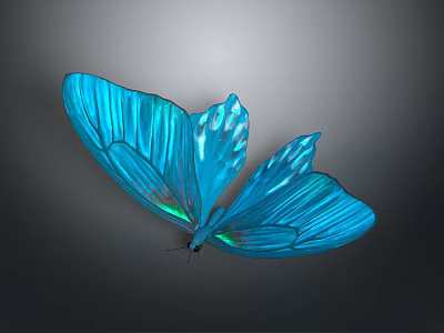 Vibrant Blue Iridescent Butterfly With Shiny Wings And Detailed Scales 3d model