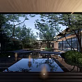 Serene Modern Garden Landscape With Lush Trees Water Pool Reflection And Outdoor Seating