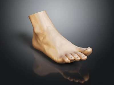 Man's Light Brown Foot 3D Model With Realistic Anatomical Details And Reflection On Black Background 3d model