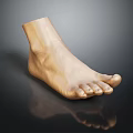 Man's Light Brown Foot 3D Model With Realistic Anatomical Details And Reflection On Black Background