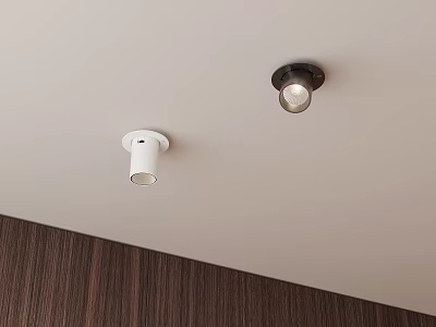 Modern Ceiling Installed Downlights And Spotlights With White And Black Design For Indoor Lighting 3d model