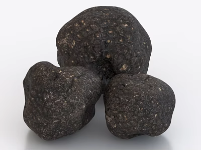 truffle mushroom black truffle 3d model