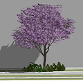 Purple Leaf Arbor with Brown Trunk and Small Shrubs Near White Wall and Grass Path