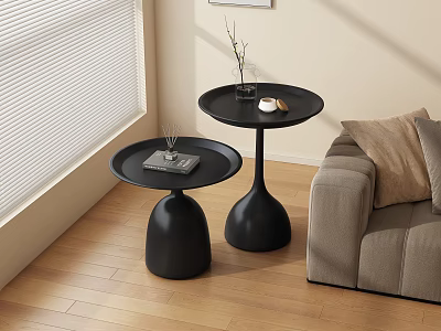 Black Side Tables With Round Top And Vase Base In Living Room With Sofa 3d model