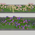 Beautiful Tree Pit With Colorful Flowers White Purple Blooms And Green Lawn