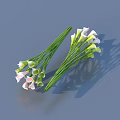 Calla Lilies Bouquets with White Pink Blooms Green Stems on Gray Background and Soft Shadows