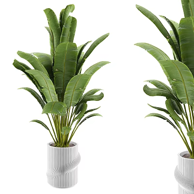 Large Green Leaf Plants in White Decorative Vases for Modern Indoor Decoration 3d model